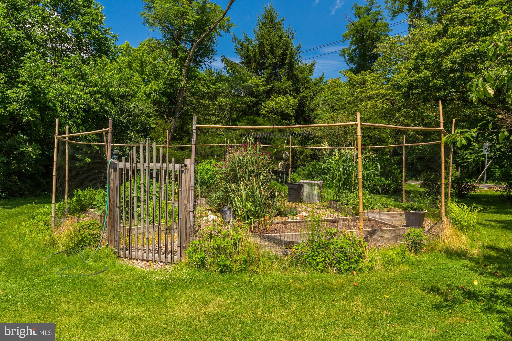 15400 Layhill Road Silver Spring, MD 20906 - Photo 36 of 42 Garden