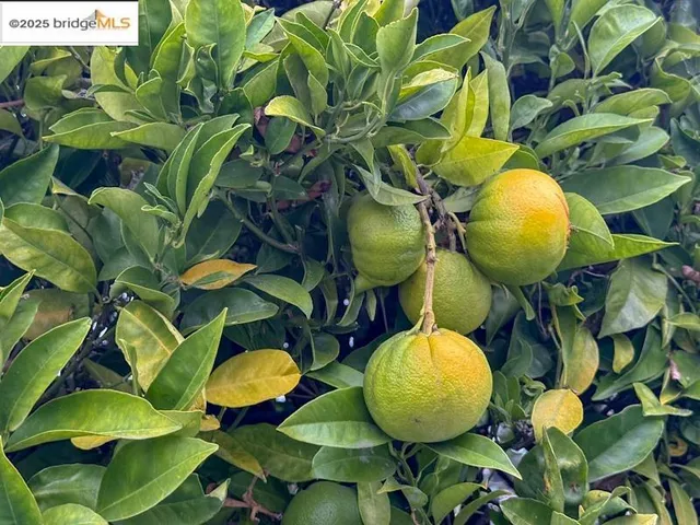 $848,000 | 734 Ensenada Avenue, Berkeley, CA 94707