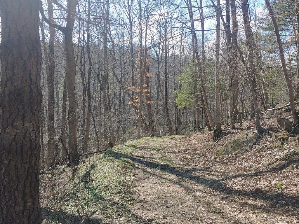 Tbd Falling Branch Road Northwest Floyd, VA 24091 - Photo 7 of 27 Gallery Image 7