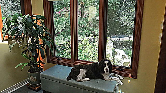 $597,500 | 1017 Cherokee Drive, Tallahassee, FL 32301