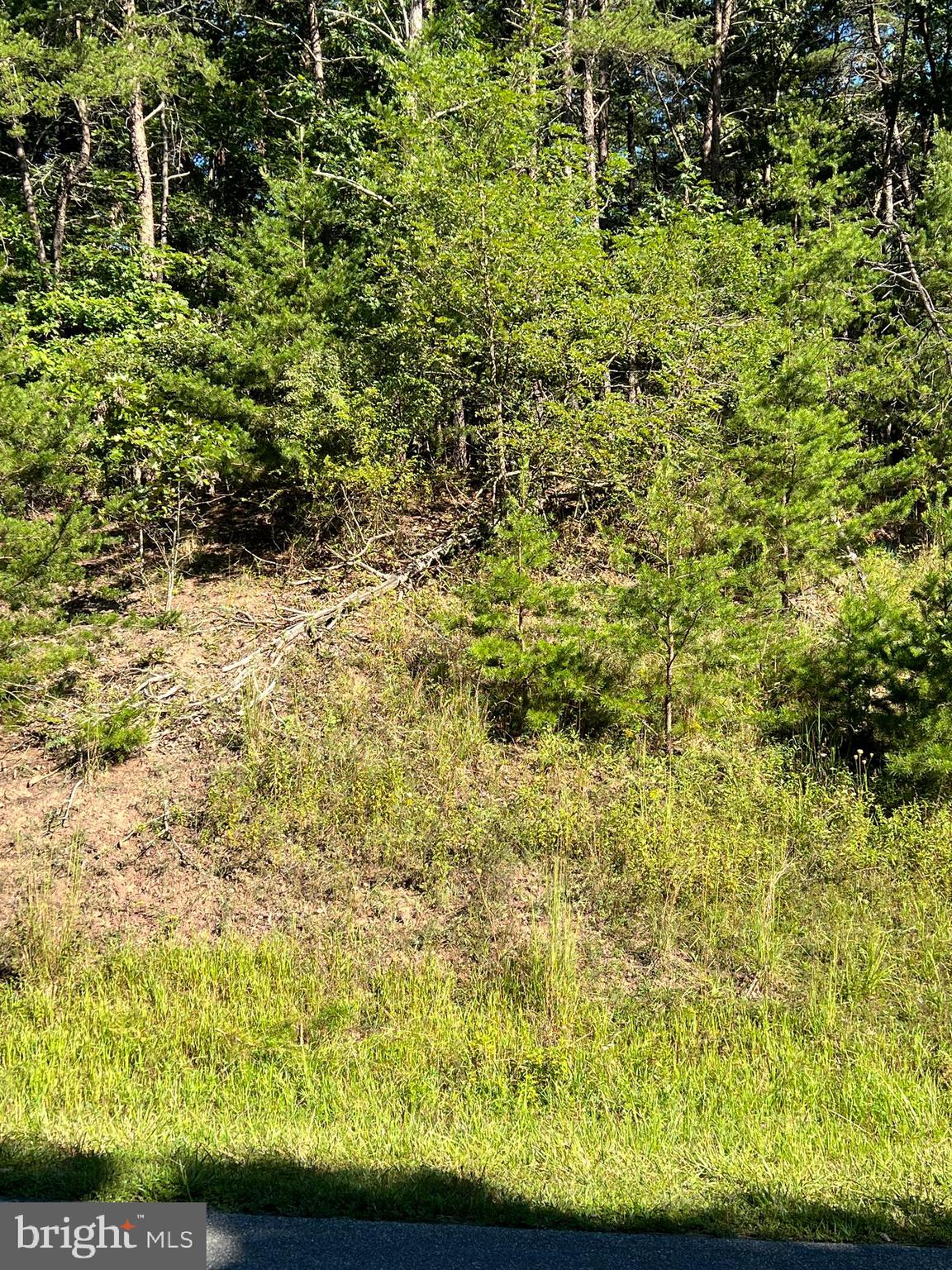 Lot 16 Cattail Road Winchester, VA 22603 - Photo 2 of 4 Gallery Image 2