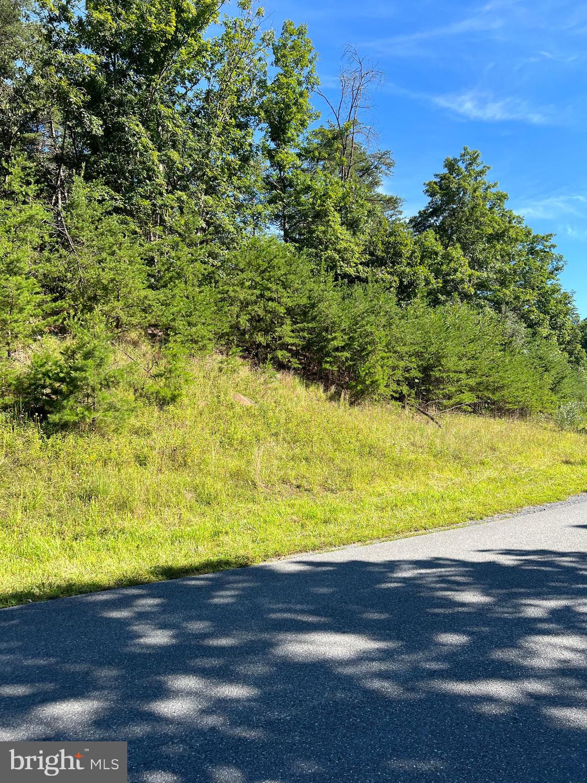 Lot 16 Cattail Road Winchester, VA 22603 - Photo 4 of 4 Gallery Image 4