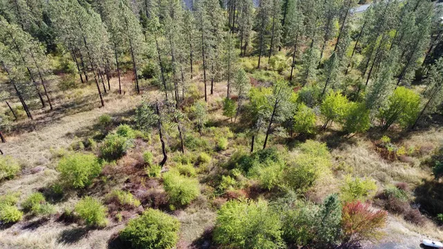 $529,900 | 3266 Highway 12, Kamiah, ID 83536