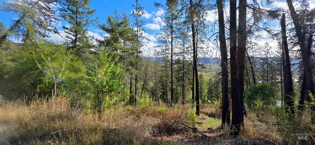 $529,900 | 3266 Highway 12, Kamiah, ID 83536