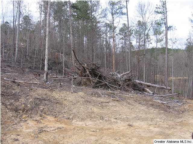 720 Sportsman Lake Road, Unit 4 2 AC Springville, AL 35146 - Photo 3 of 14
