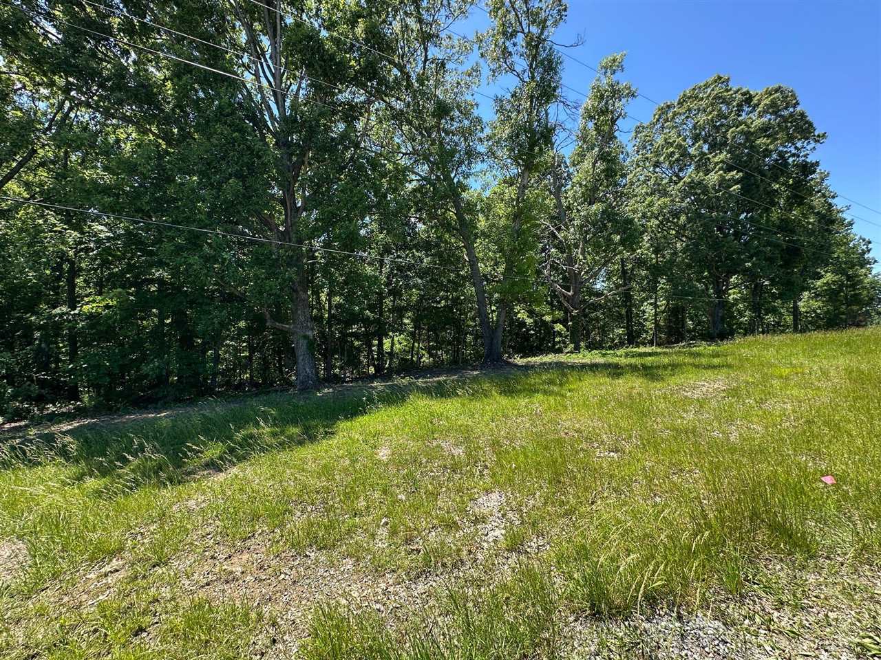 1 Riverside Benleo Road Bowling Green, KY 42101 - Photo 7 of 15 Gallery Image 7
