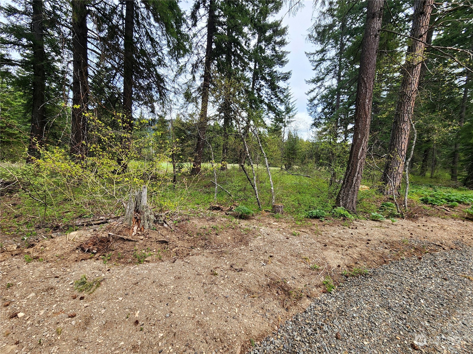 -r Lot 2 R Way Cle Elum, WA 98922 - Photo 23 of 30 Gallery Image 23