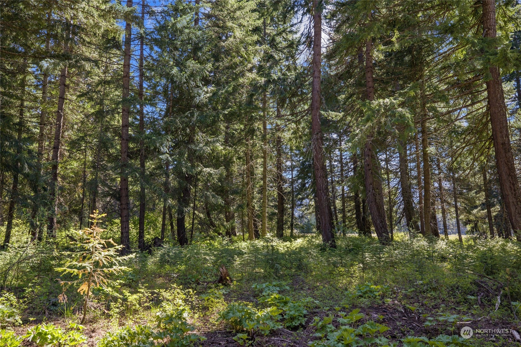 -r Lot 2 R Way Cle Elum, WA 98922 - Photo 7 of 30 Gallery Image 7