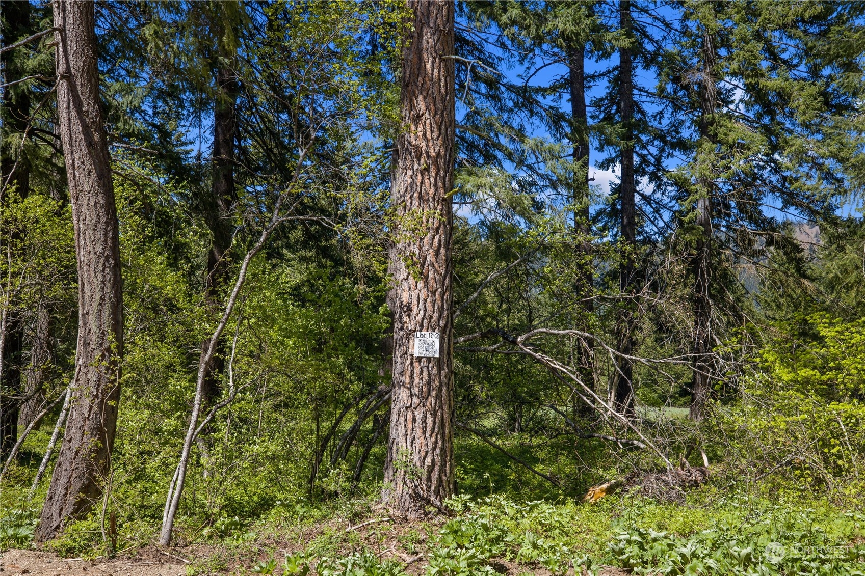 -r Lot 2 R Way Cle Elum, WA 98922 - Photo 10 of 30 Gallery Image 10