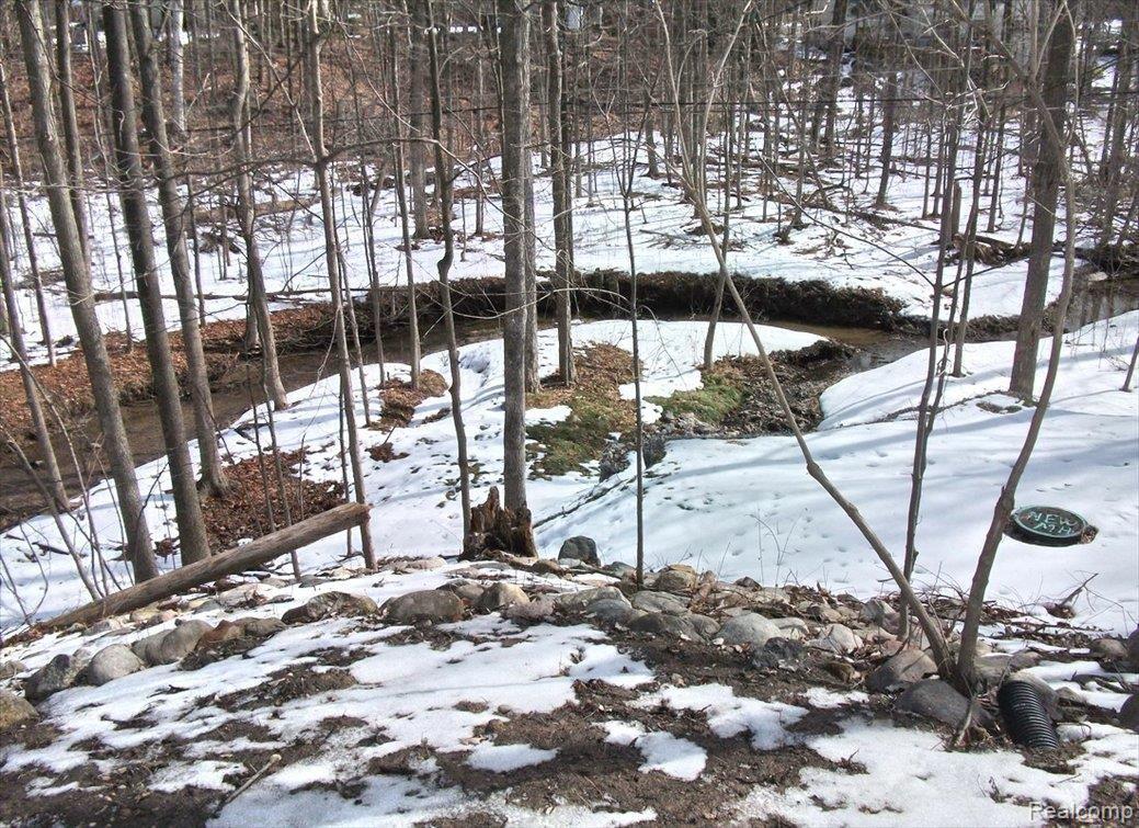 31140 Old Stage Road Franklin, MI 48025 - Photo 2 of 25 Ravine Setting