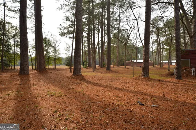 a backyard of a house with trees