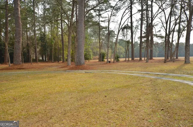a view of basketball court