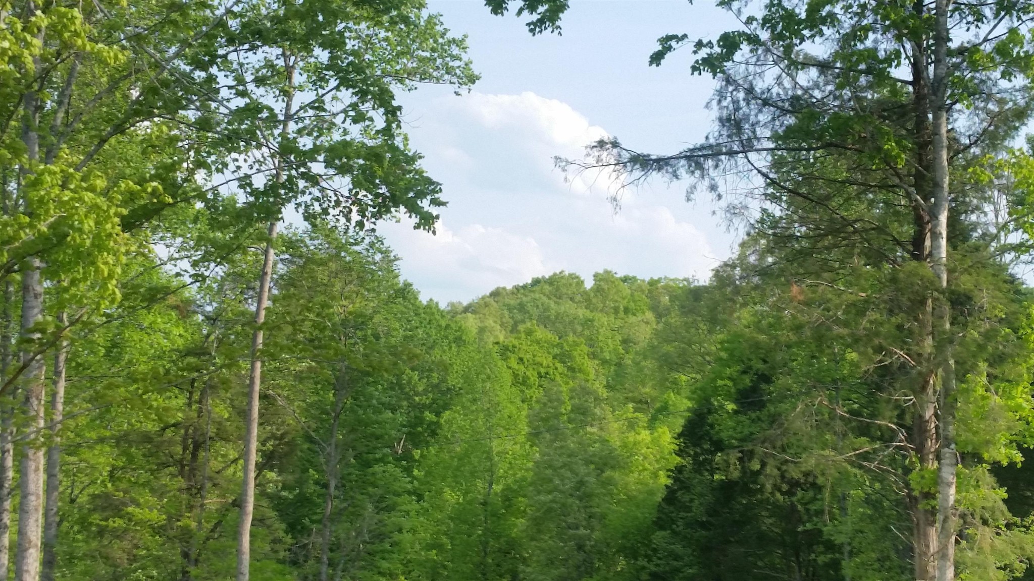 7454 Sugar Camp Hollow Road Fairview, TN 37062 - Photo 37 of 38