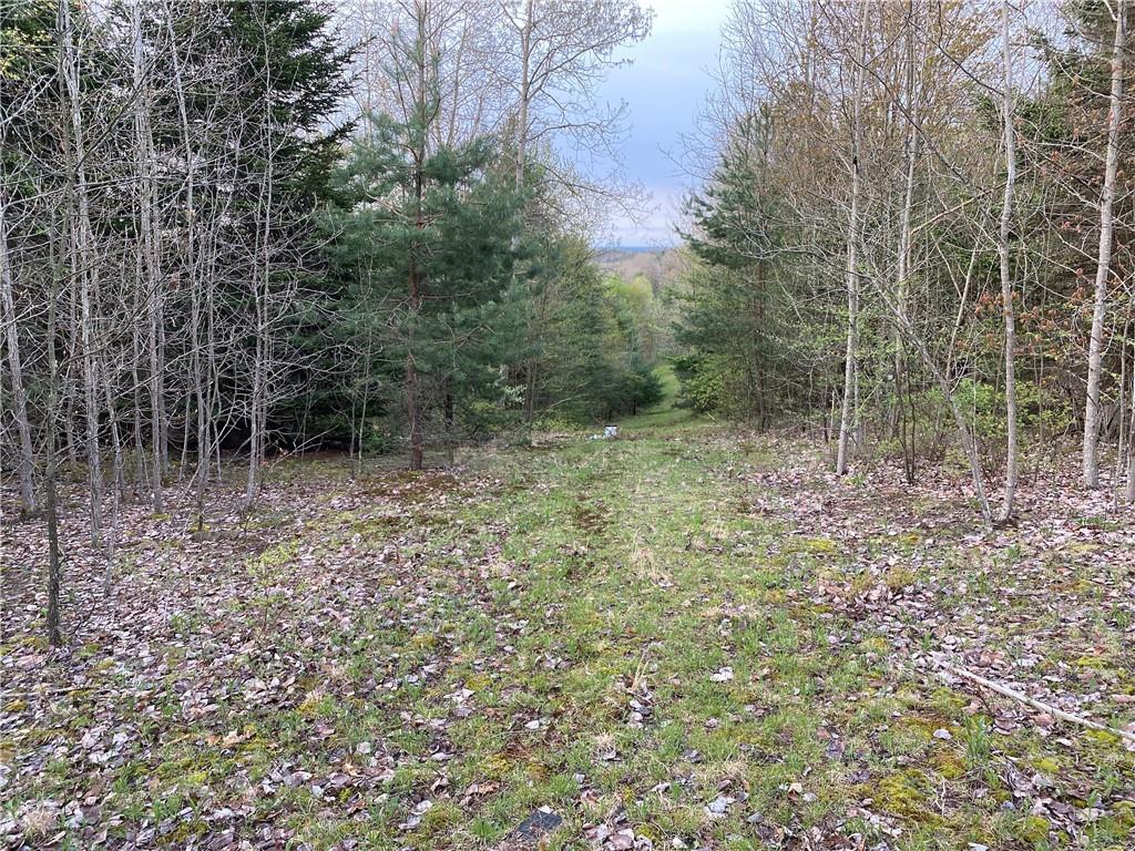 0 Beatty Road Clymer, PA 15759 - Photo 1 of 18