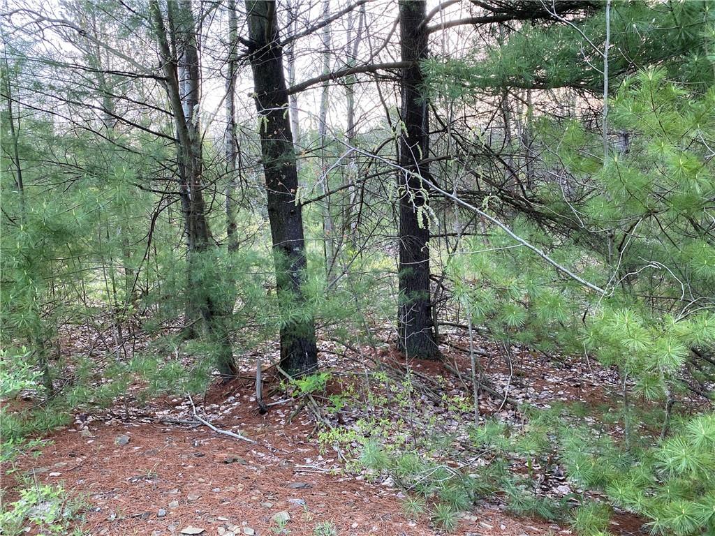 0 Beatty Road Clymer, PA 15759 - Photo 2 of 18