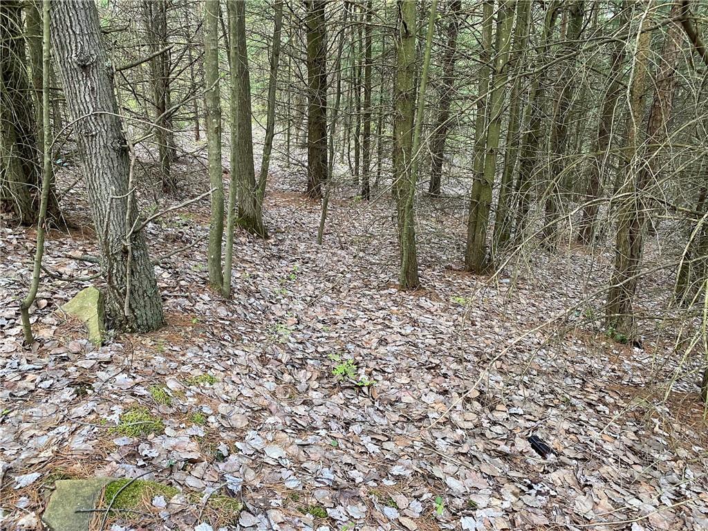 0 Beatty Road Clymer, PA 15759 - Photo 11 of 18