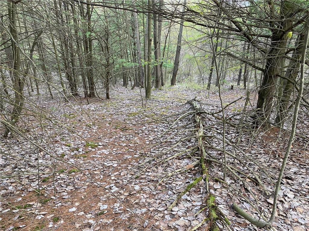 0 Beatty Road Clymer, PA 15759 - Photo 12 of 18