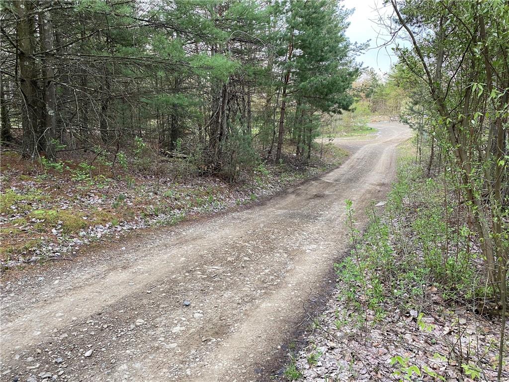 0 Beatty Road Clymer, PA 15759 - Photo 13 of 18