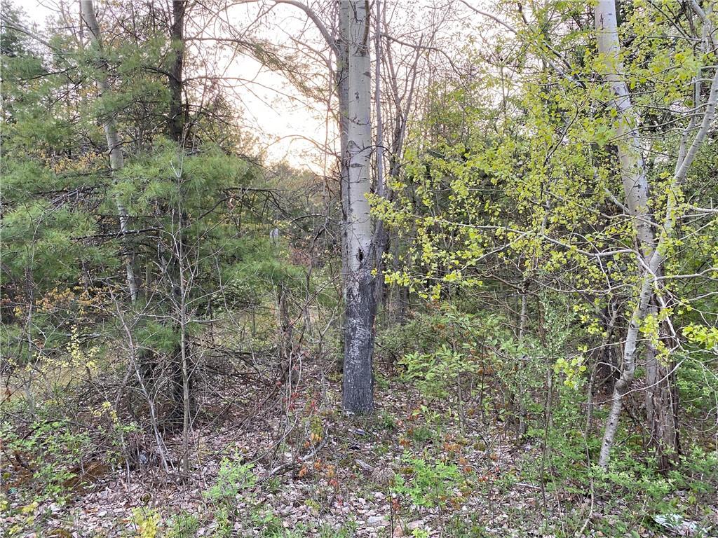 0 Beatty Road Clymer, PA 15759 - Photo 3 of 18