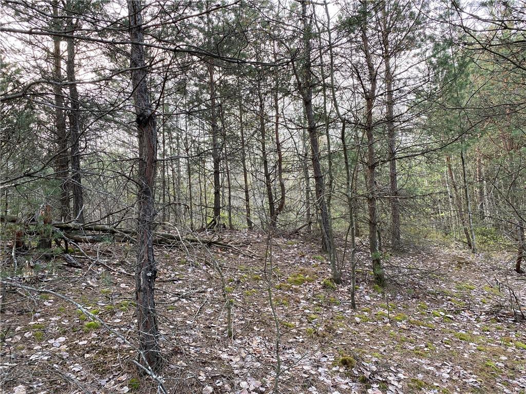 0 Beatty Road Clymer, PA 15759 - Photo 4 of 18