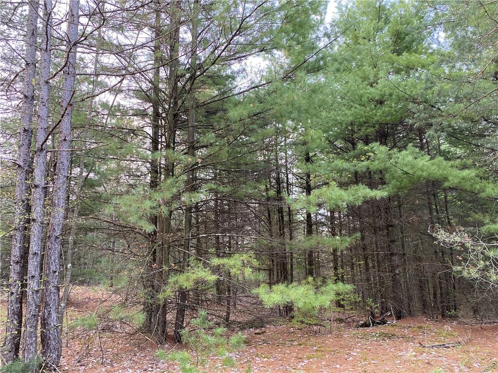 0 Beatty Road Clymer, PA 15759 - Photo 5 of 18