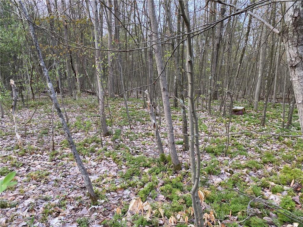 0 Beatty Road Clymer, PA 15759 - Photo 6 of 18