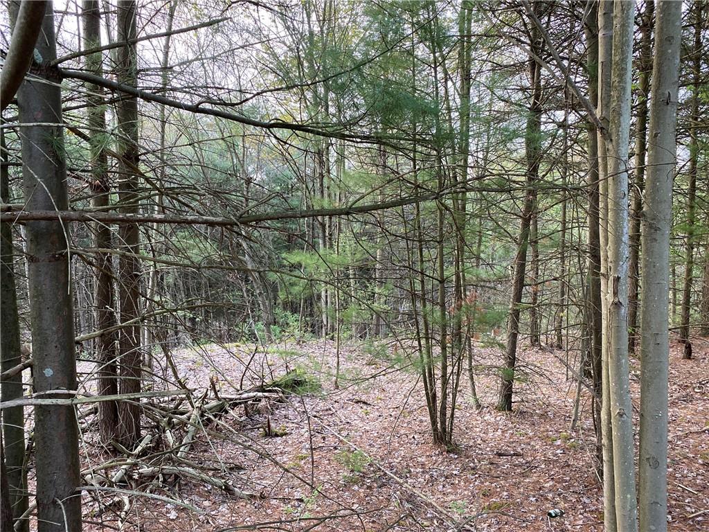 0 Beatty Road Clymer, PA 15759 - Photo 7 of 18