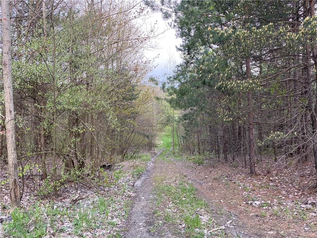 0 Beatty Road Clymer, PA 15759 - Photo 10 of 18