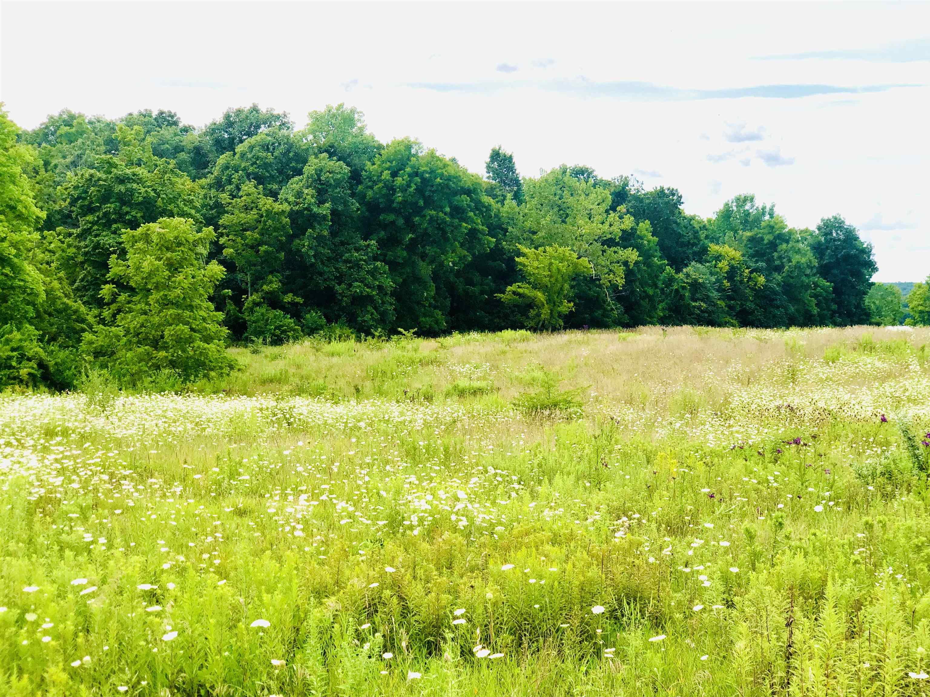 Tbd East Division Road Lagro, IN 46941 - Photo 1 of 20