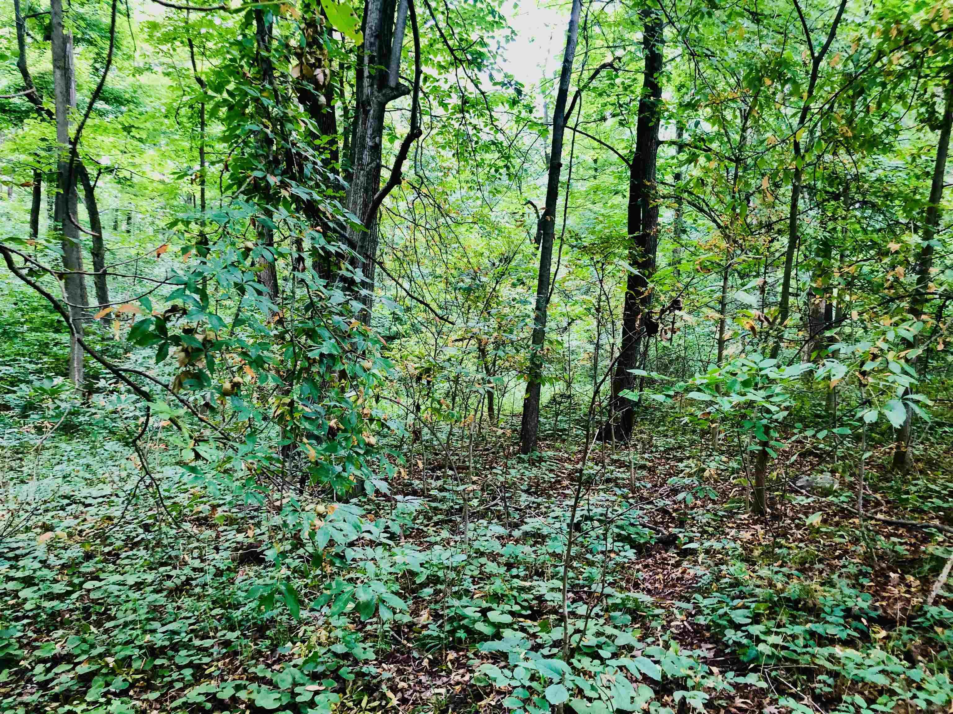 Tbd East Division Road Lagro, IN 46941 - Photo 14 of 20