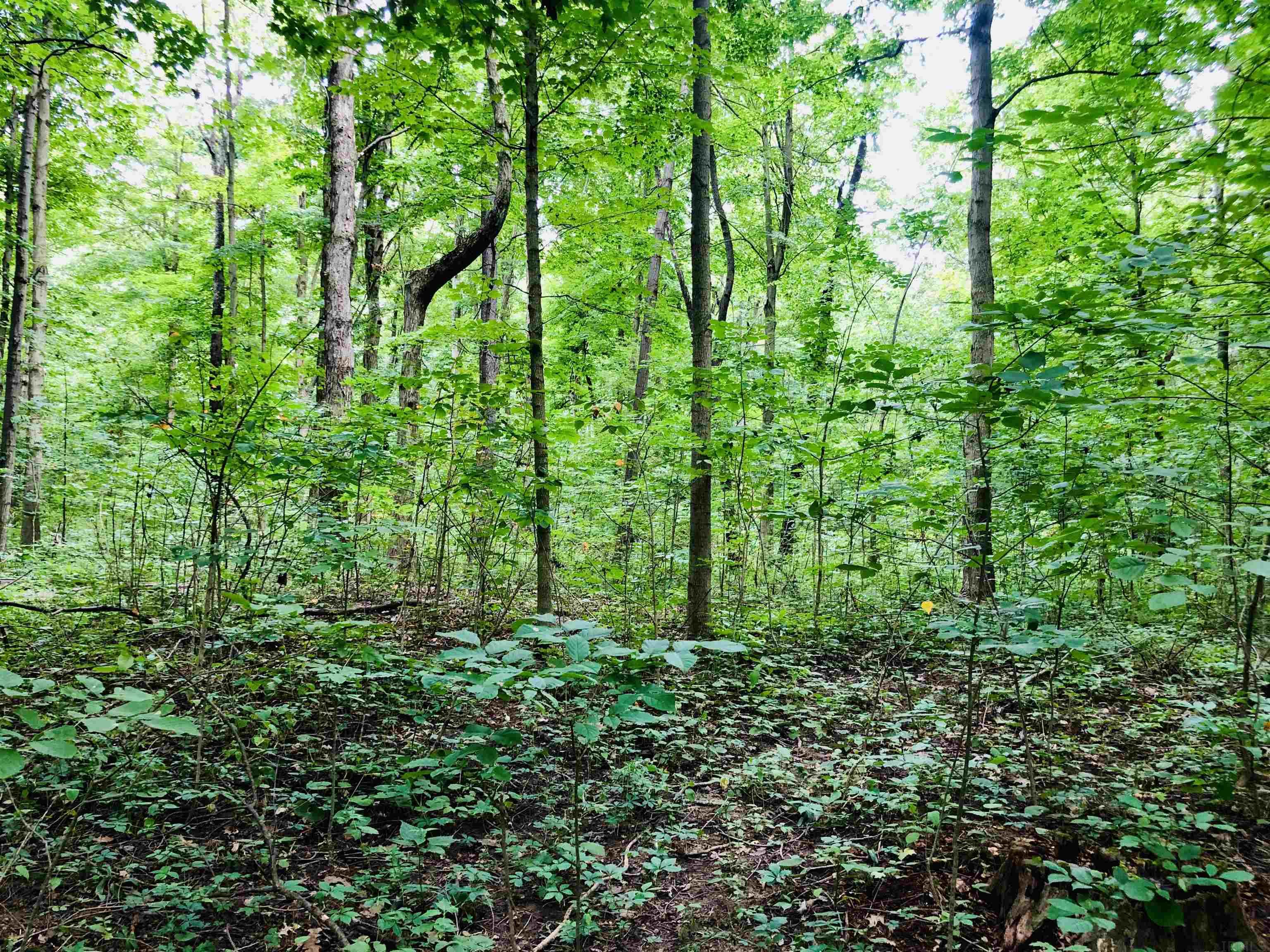 Tbd East Division Road Lagro, IN 46941 - Photo 17 of 20