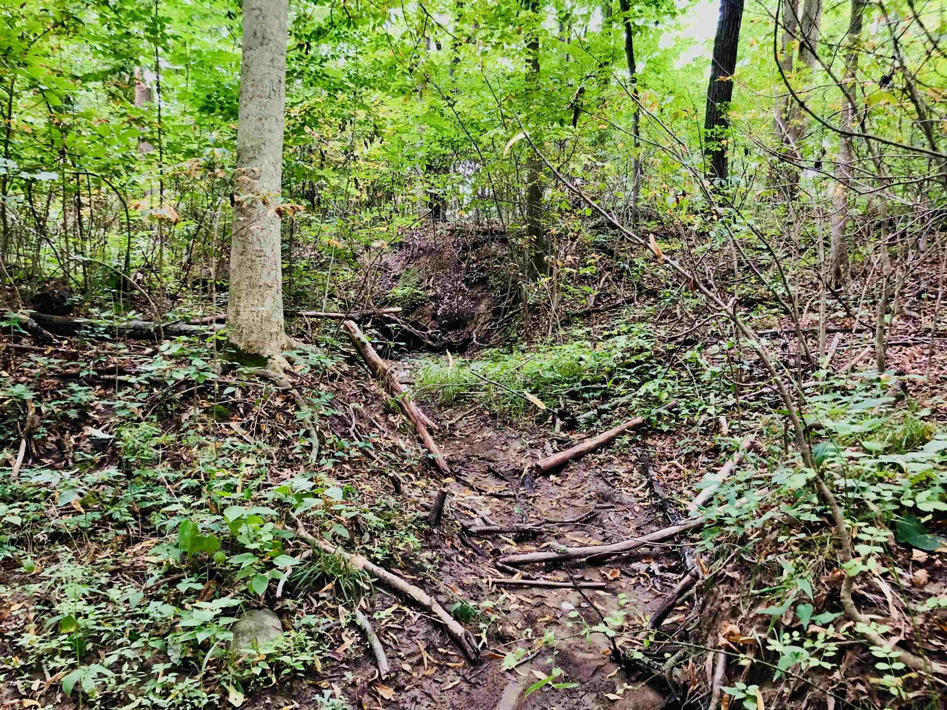 Tbd East Division Road Lagro, IN 46941 - Photo 18 of 20