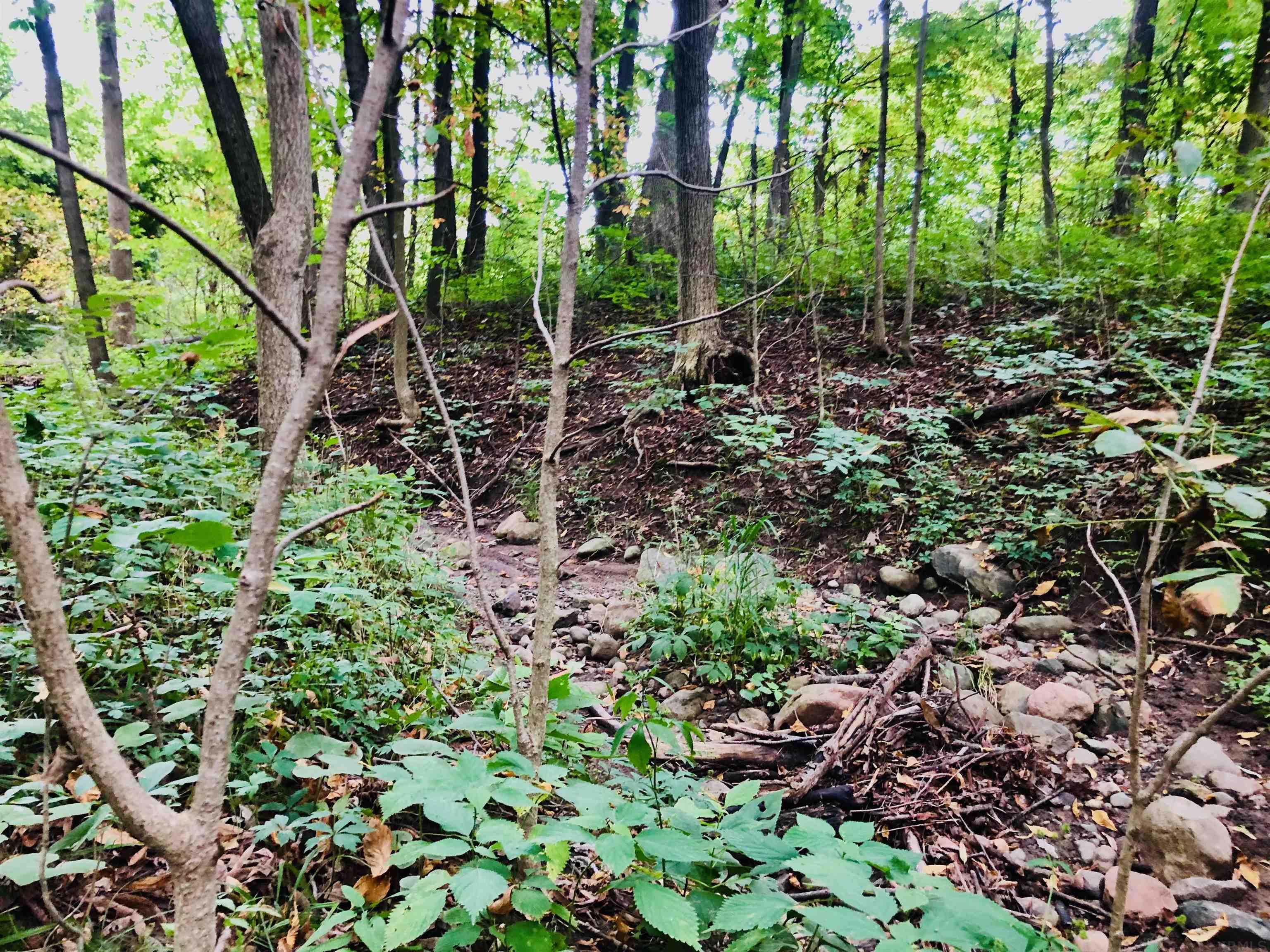 Tbd East Division Road Lagro, IN 46941 - Photo 19 of 20