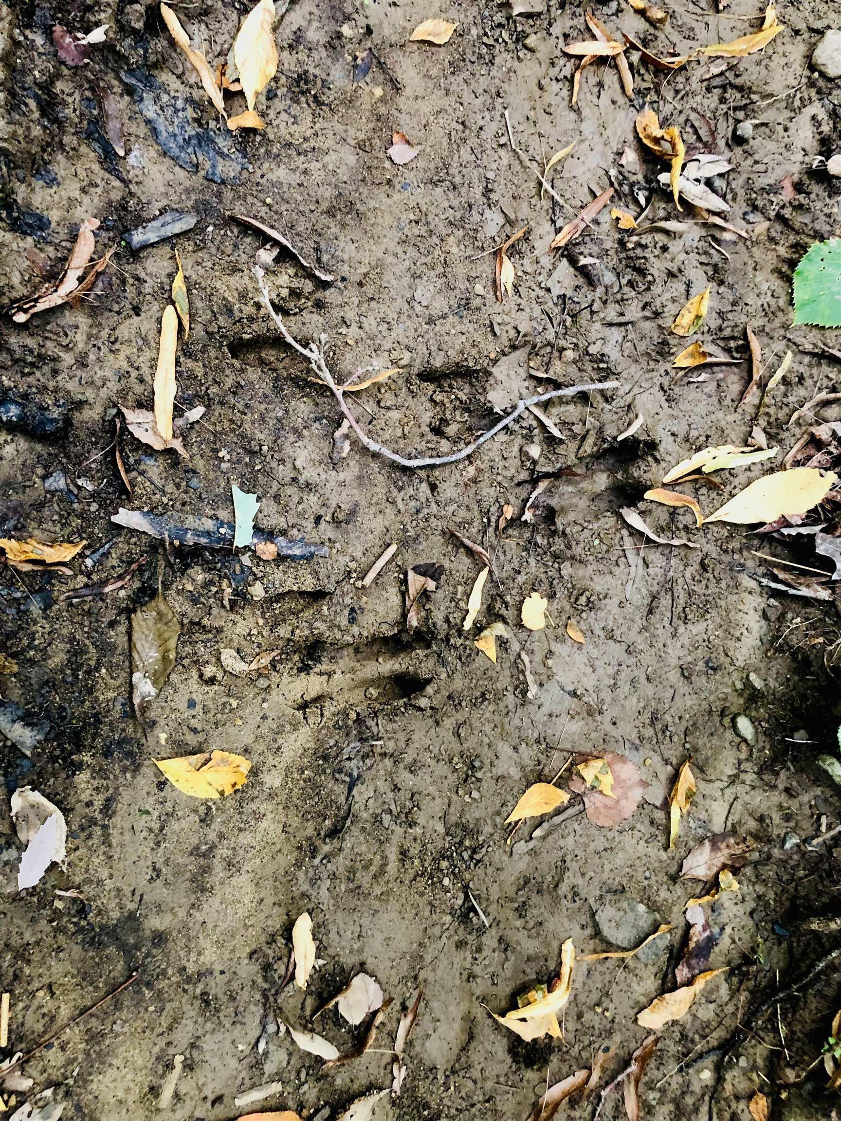 Tbd East Division Road Lagro, IN 46941 - Photo 20 of 20