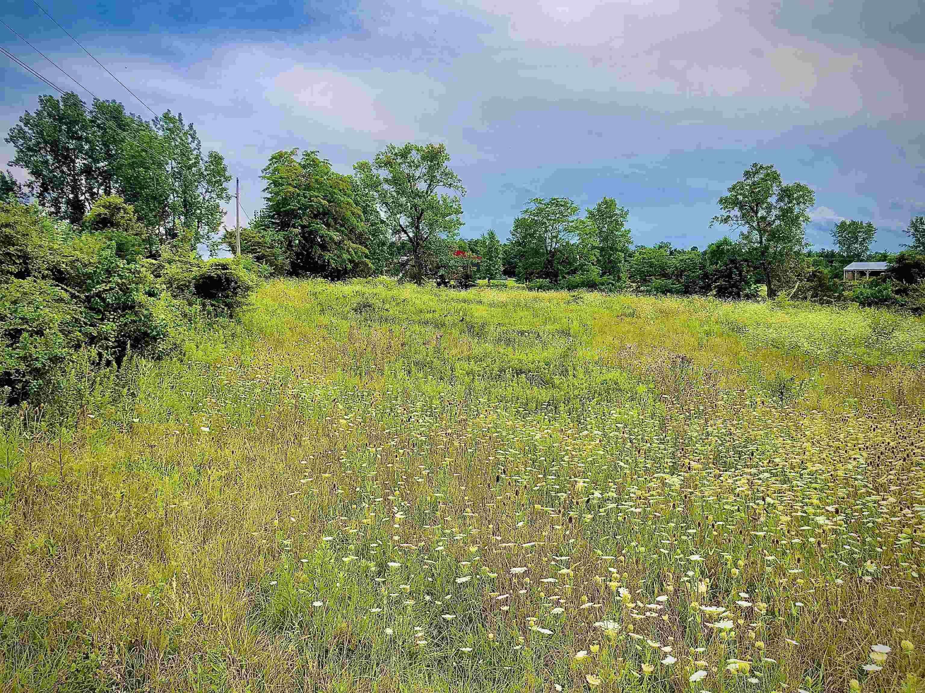 Tbd East Division Road Lagro, IN 46941 - Photo 3 of 20