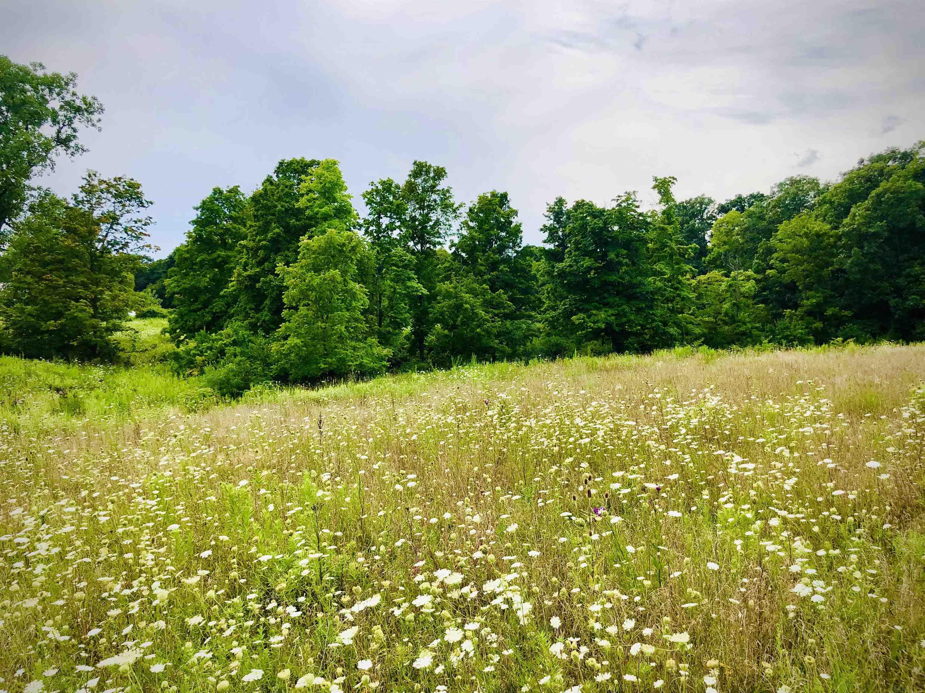 Tbd East Division Road Lagro, IN 46941 - Photo 4 of 20