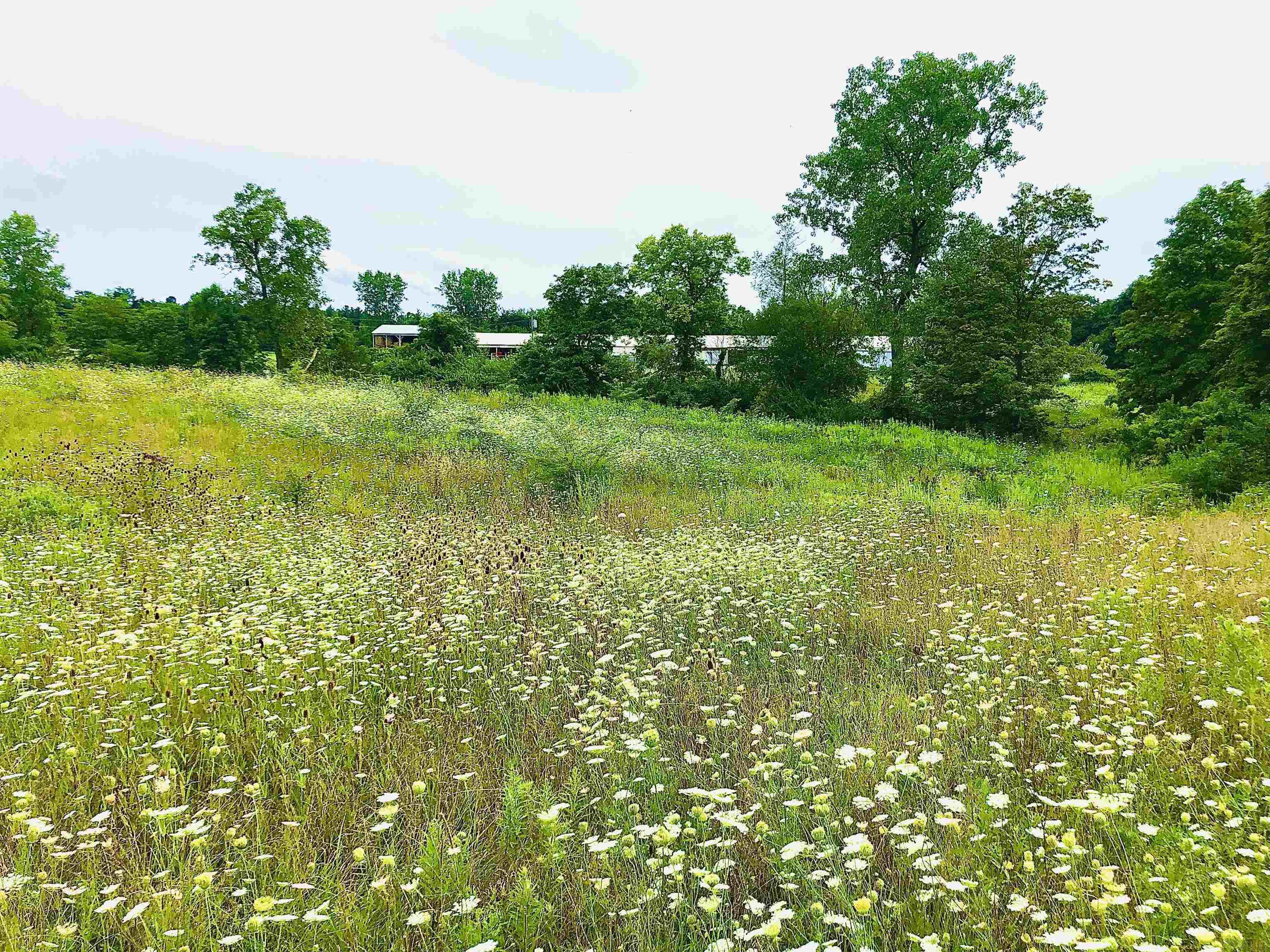 Tbd East Division Road Lagro, IN 46941 - Photo 5 of 20