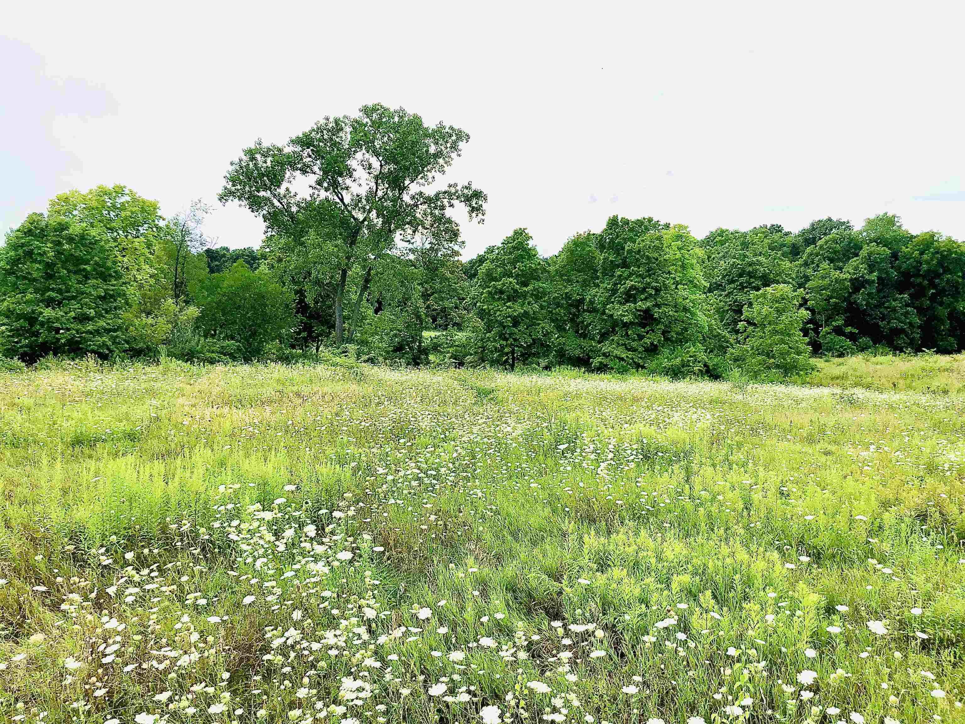 Tbd East Division Road Lagro, IN 46941 - Photo 6 of 20