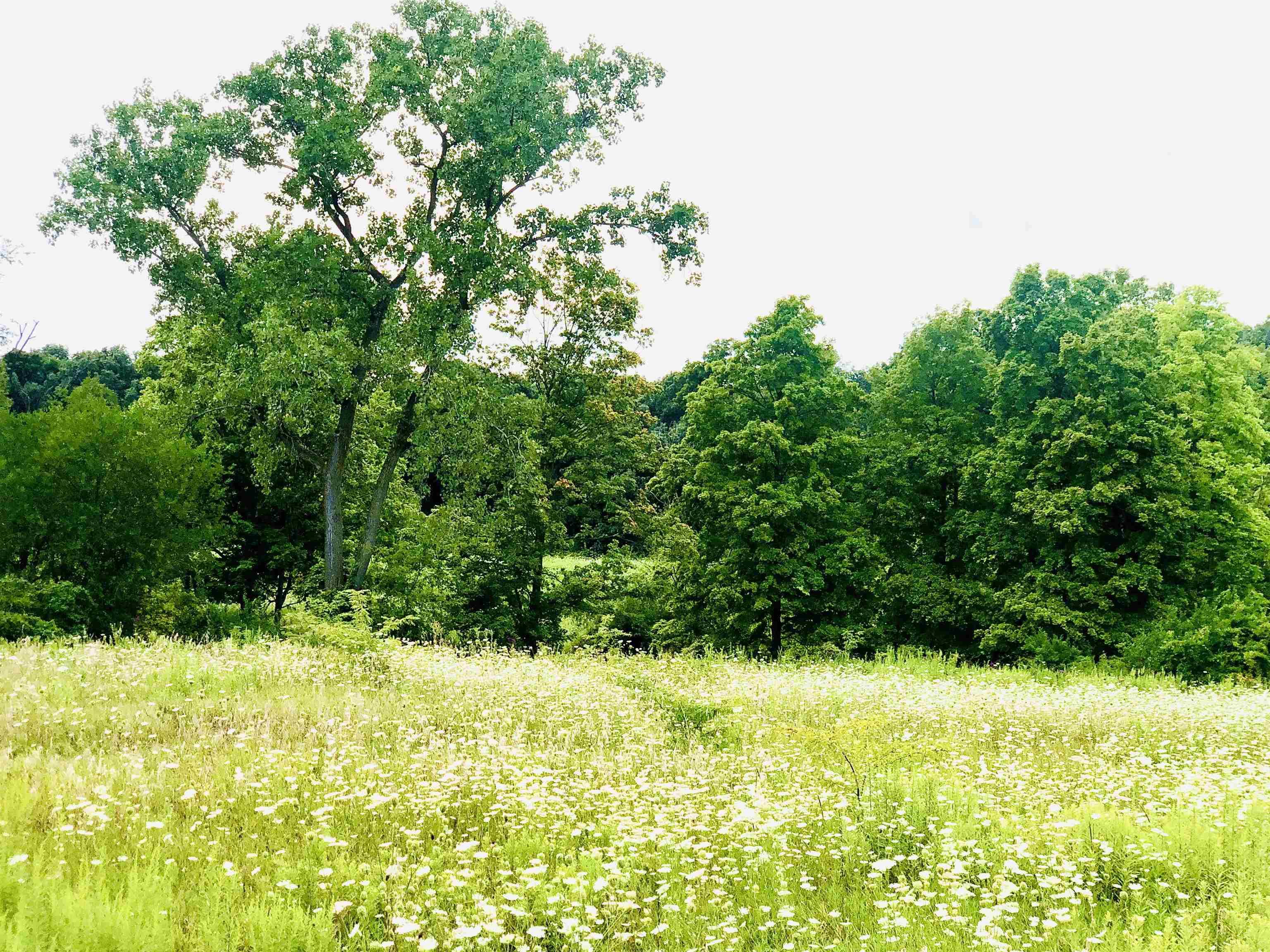 Tbd East Division Road Lagro, IN 46941 - Photo 7 of 20