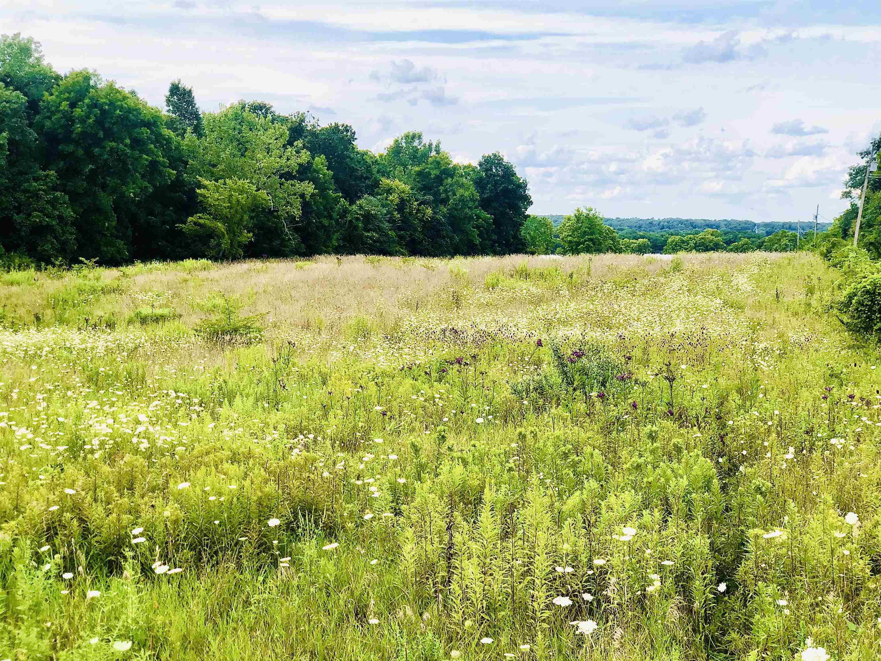 Tbd East Division Road Lagro, IN 46941 - Photo 8 of 20