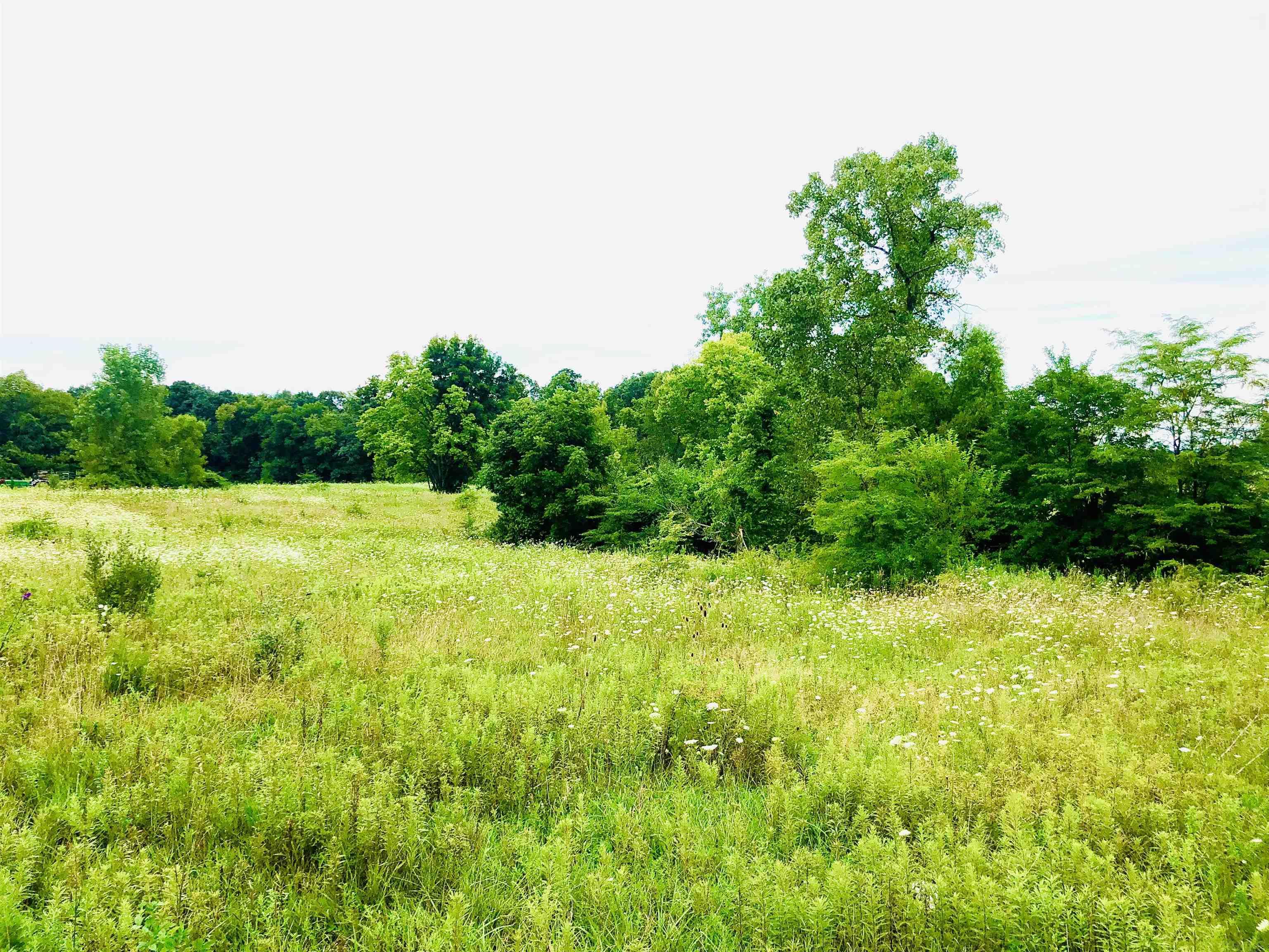 Tbd East Division Road Lagro, IN 46941 - Photo 9 of 20