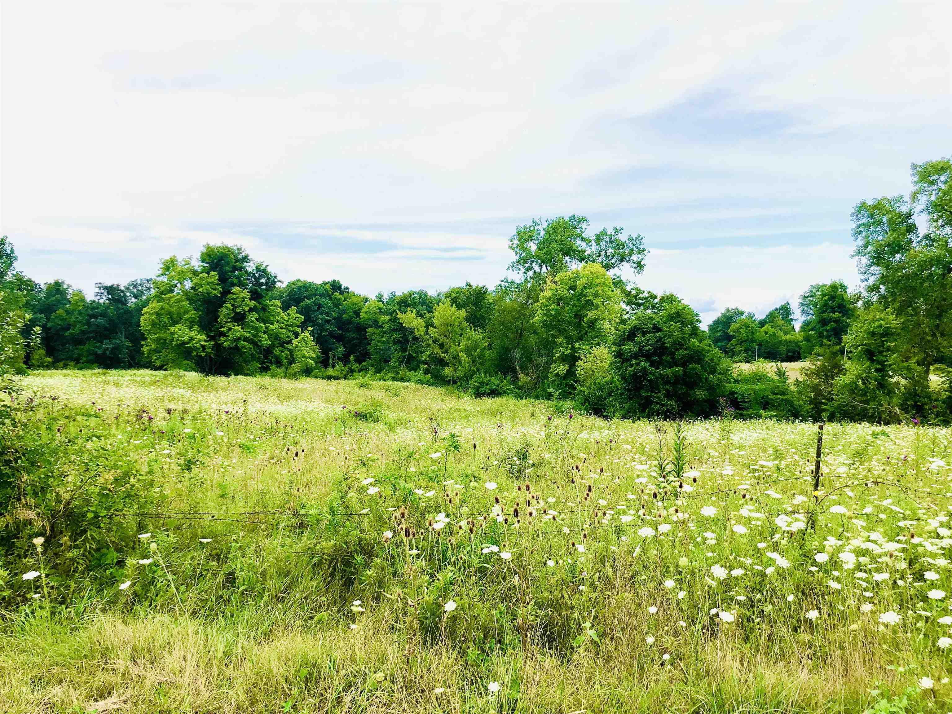 Tbd East Division Road Lagro, IN 46941 - Photo 10 of 20