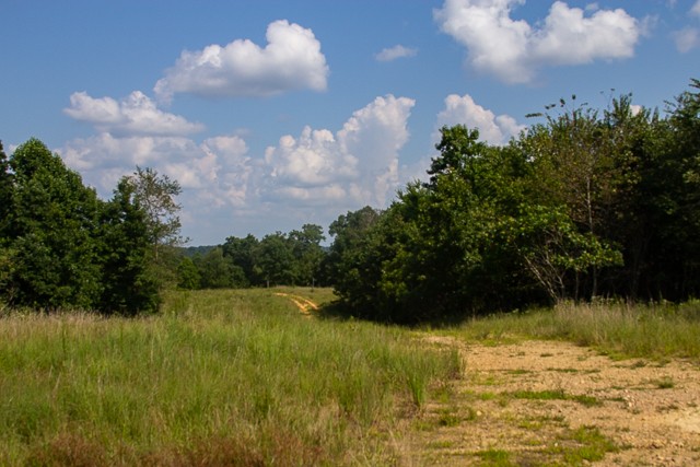 0 Persimmon Ridge Hohenwald, TN 38462 - Photo 1 of 25 Gallery Image 1