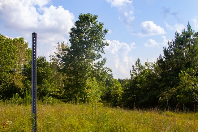 0 Persimmon Ridge Hohenwald, TN 38462 - Photo 13 of 25 Gallery Image 13