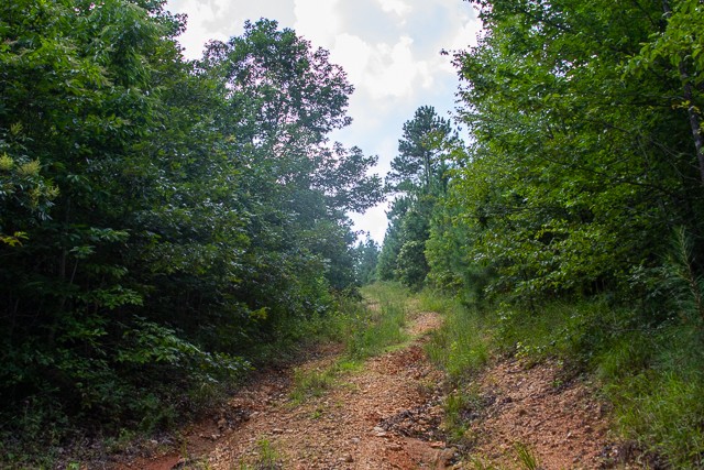 0 Persimmon Ridge Hohenwald, TN 38462 - Photo 16 of 25 Gallery Image 16