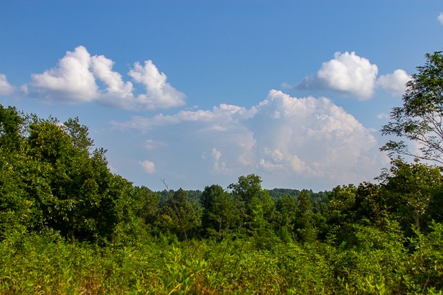 0 Persimmon Ridge Hohenwald, TN 38462 - Photo 18 of 25 Gallery Image 18