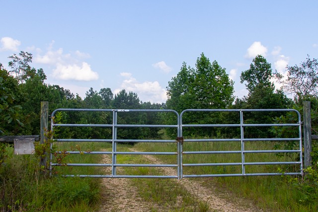 0 Persimmon Ridge Hohenwald, TN 38462 - Photo 22 of 25 Gallery Image 22