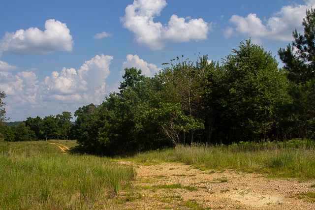 0 Persimmon Ridge Hohenwald, TN 38462 - Photo 5 of 25 Gallery Image 5