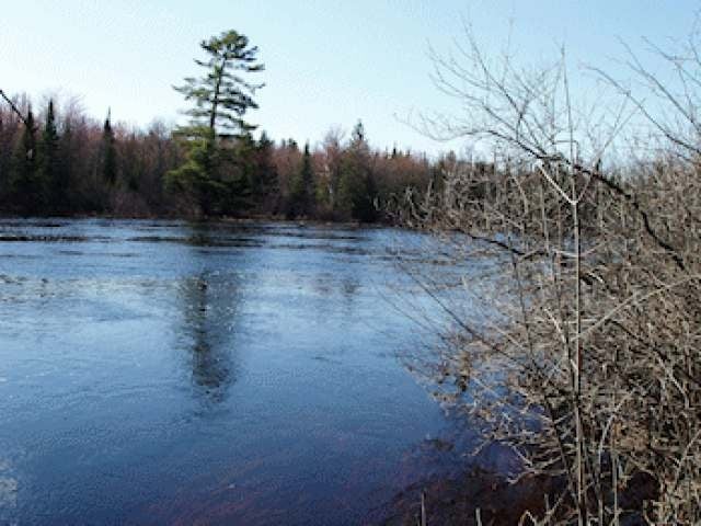 On On Divine Rapids Road Park Falls, WI 54552 - Photo 2 of 5 Gallery Image 2