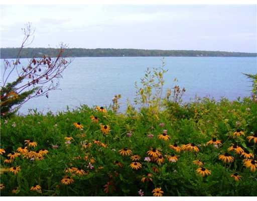 20 Lorimer Road Lamoine, ME 04605 - Photo 13 of 20 Yard/Garden. Flowers bloom at the...